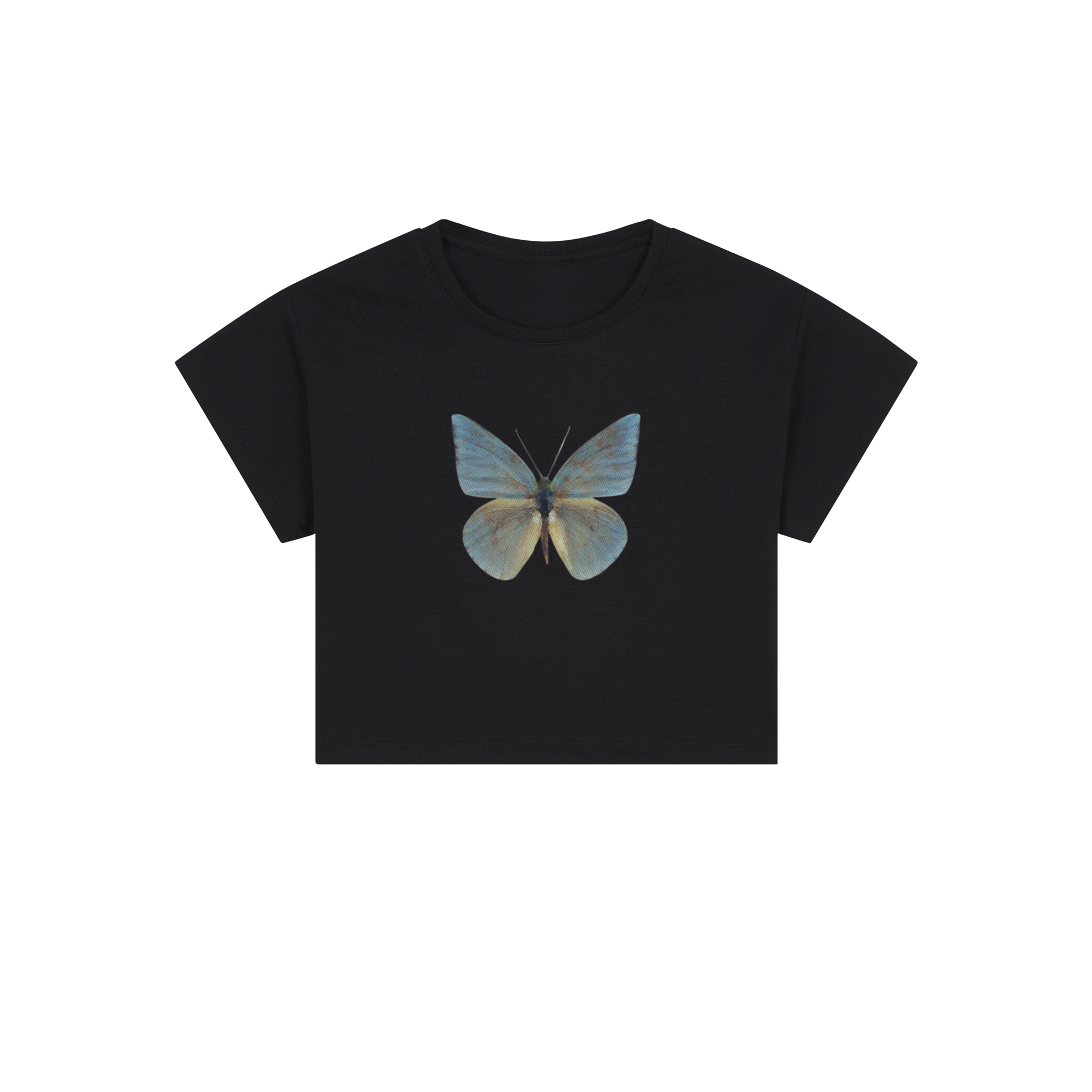 blue butterfly crop top